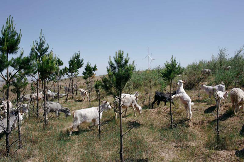 http://zhoupinglang.com/files/gimgs/23_se29.jpg
